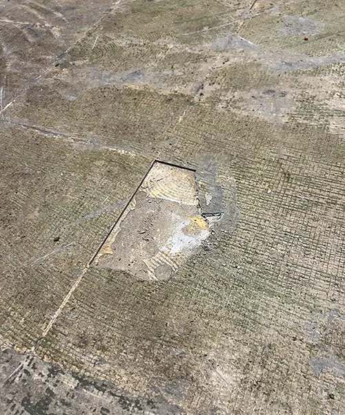Mastic Removal in Lynnwood 